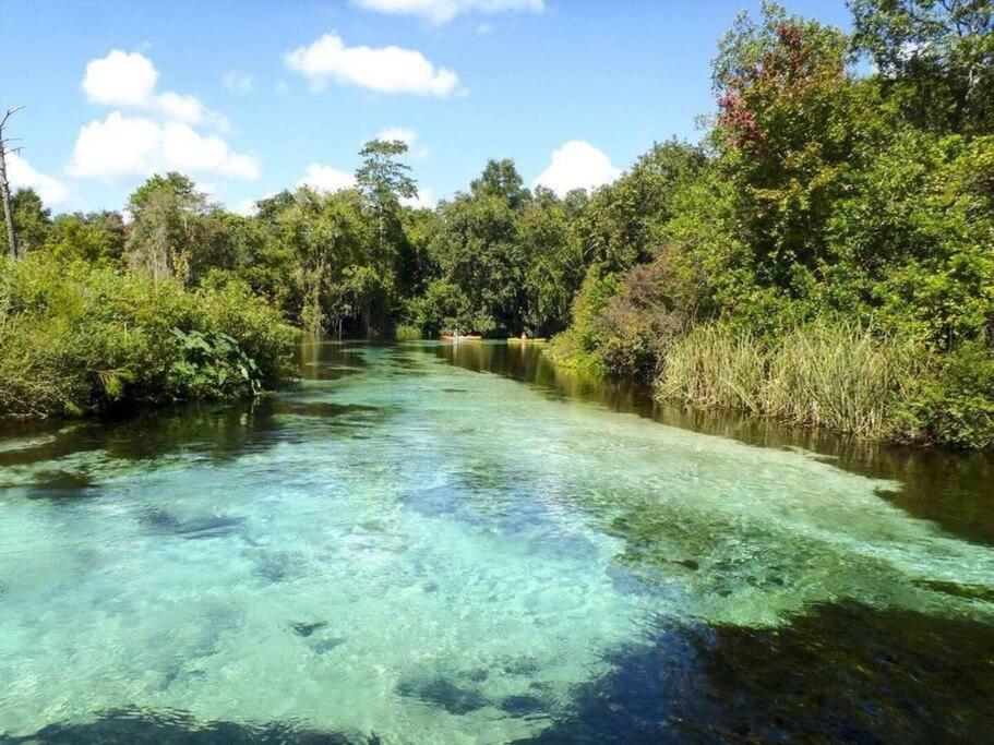 Seahorse River House @ Weeki Wachee Spring Hill Exterior photo